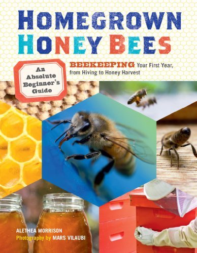 Alethea Morrison/Homegrown Honey Bees@ An Absolute Beginner's Guide to Beekeeping Your F